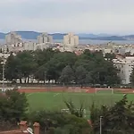Pavlica